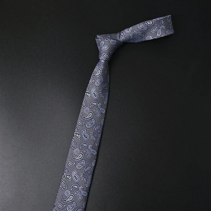 YiLi Comfortable Paisley Tie: Viscose Rayon Crafted