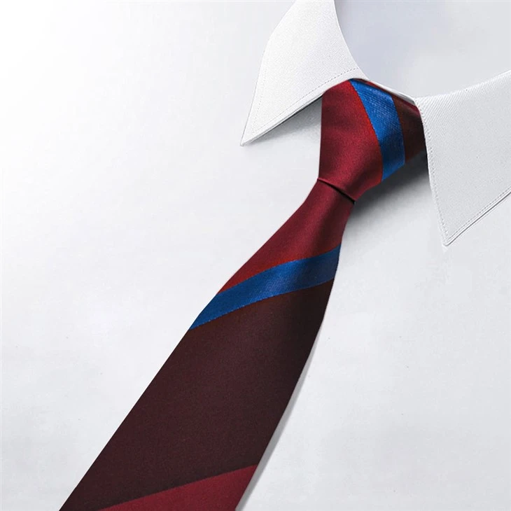 Silk Neckties for Men